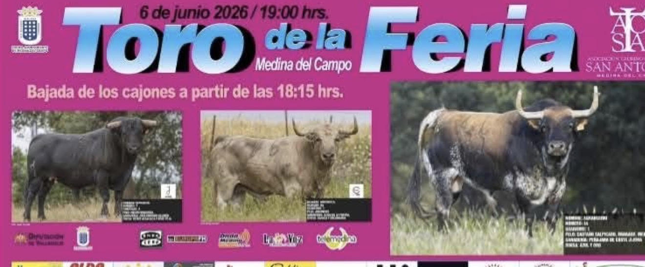 TORO-DE-LA-FERIA-6-DE-JUNIO-2026