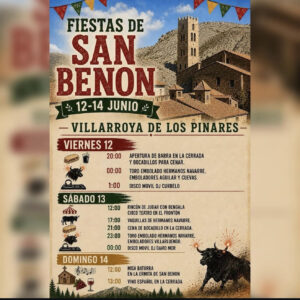 TORO-VILLARROYA-DE-LOS-PINARES-DEL-12-AL-14-DE-JUNIO-2026