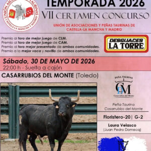 TOROS-CASARRUBIOS-DEL-MONTE-30-MAYO-2026.