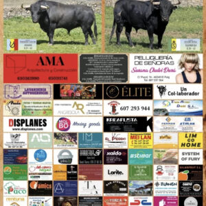 TOROS-ELS-PUXEROS-13-DE-JUNIO-2026.