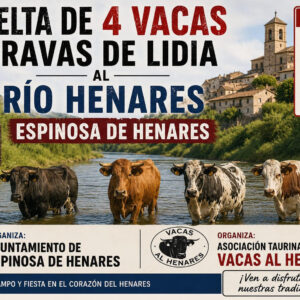TOROS-ESPINOSA-DE-HENARES-6-JUNIO-2026