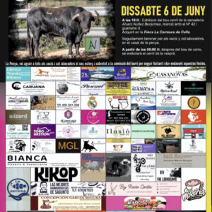 TOROS GENT DEL BOU SAGUNTO 6 JUNIO 2026