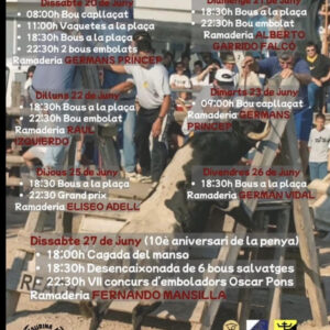 TOROS-LLIGALLOS-DEL-25-AL-27-DE-JUNIO-2026