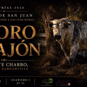 TOROS-NAVASFRIAS-28-DE-JUNIO-2026.j