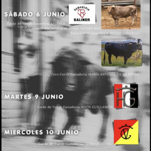 TOROS-ONDA-13-JUNIO-2026