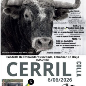 TOROS PAIPORTA 6 DE JUNIO 2026