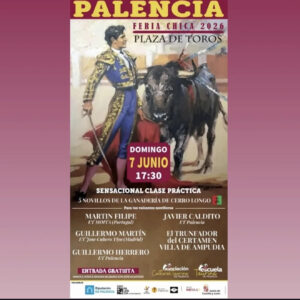 TOROS PLAZA DE TOROS PALENCIA 7 JUNIO 2026.j