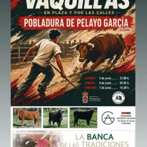 TOROS-POBLADURA-DE-PELAYO-GARCIA-5-6-Y-7-DE-JUNIO-2026