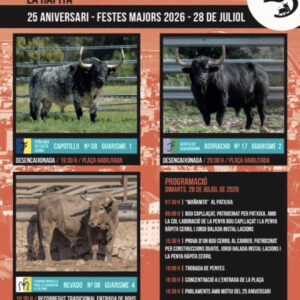TOROS-RAPITA-28-JULIO-2026