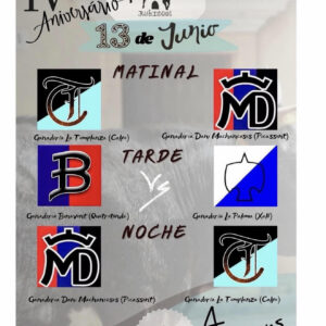 TOROS-RUBIELOS-DE-MORA-13-JUNIO-2026.