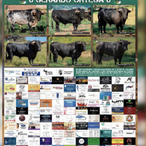 TOROS SAN JUAN PUÇOL 23 JUNIO 2026
