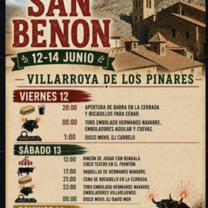 TOROS-VILLARROYA-DE-LOS-PINARES-DEL-12-AL-14-DE-JUNIO-2026