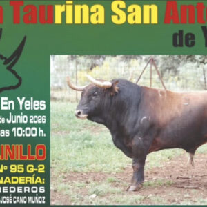 TOROS-YELES-14-JUNIO-2026