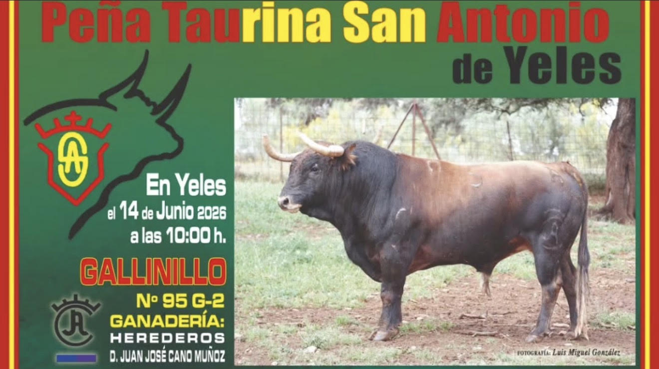 TOROS-YELES-14-JUNIO-2026