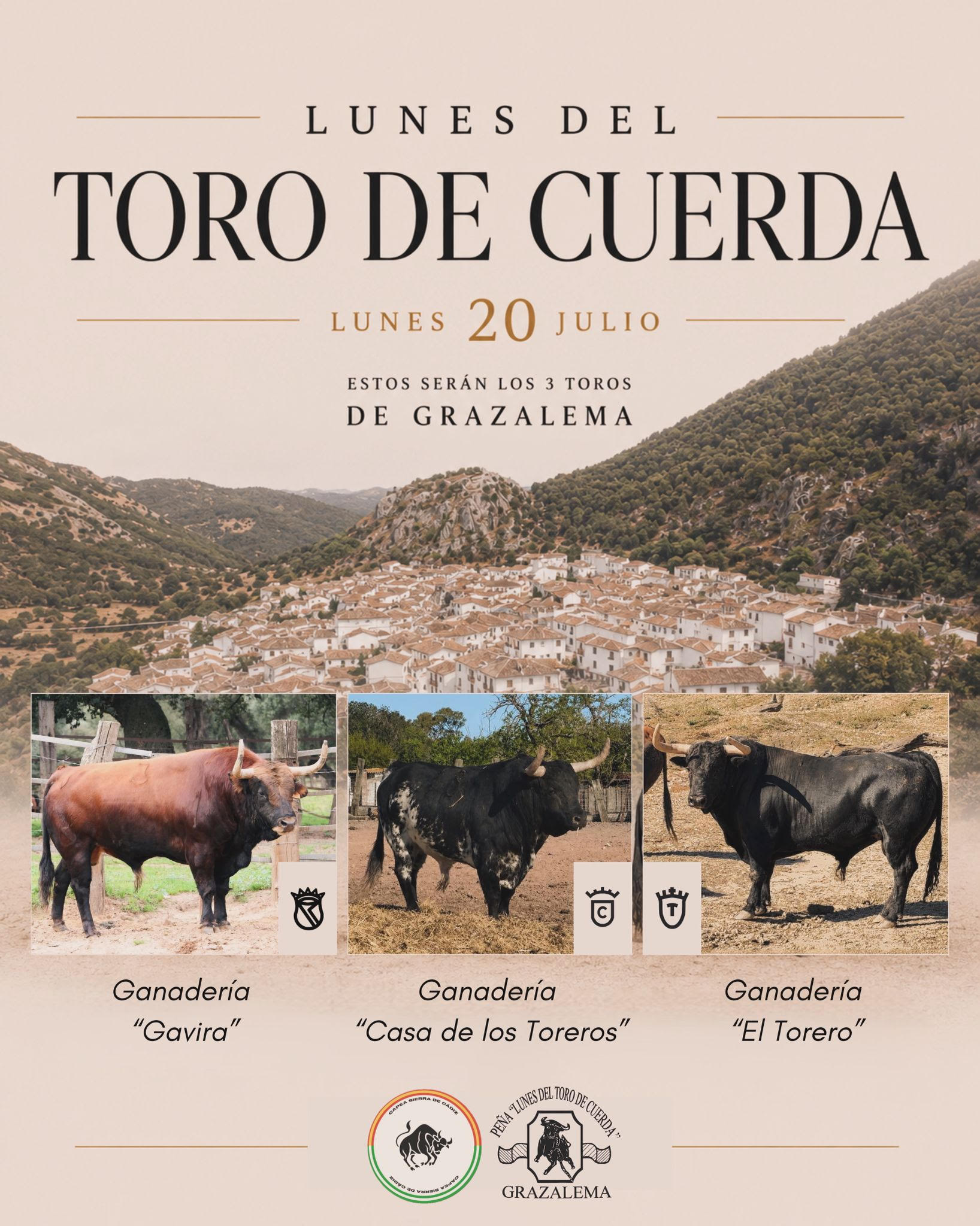 TOROS DE CUERDA GRAZALEMA 20 JULIO 2026