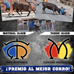 TOROS BARRIO SAN FERNIN 5 JULIO 2026