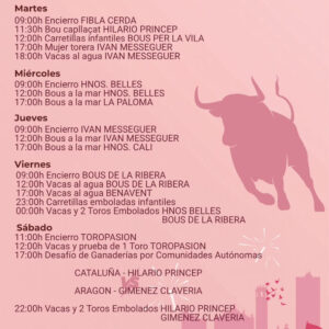 TOROS BENICARLO DEL 22 AL 30 DE AGOSTO 2026