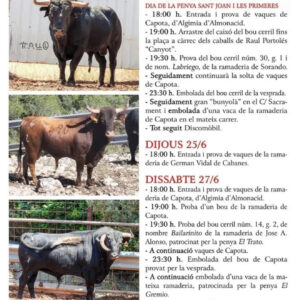 TOROS BETXI 25 DE JUNIO 2026