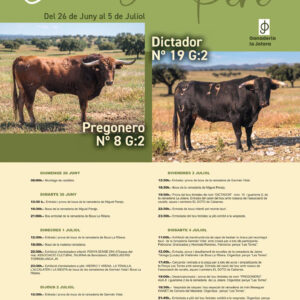 TOROS CABANES DEL 26 AL 5 DE JULIO 2026