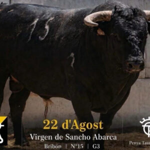 TOROS CANET LO ROIG 22 DE AGOSTO 2026