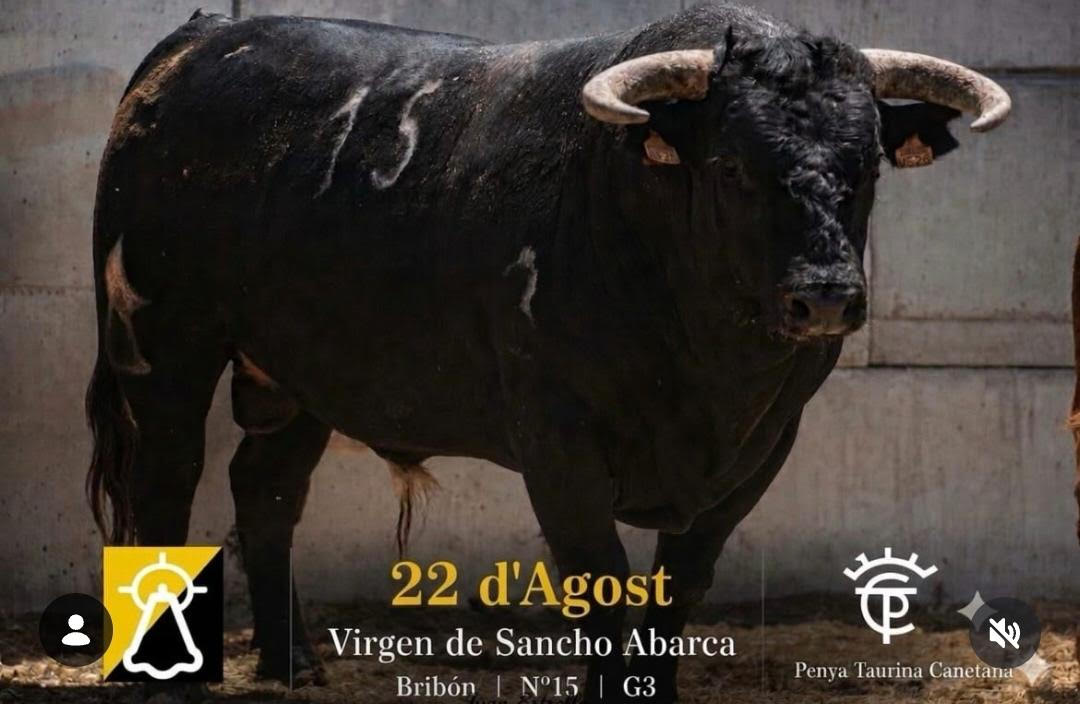 TOROS CANET LO ROIG 22 DE AGOSTO 2026