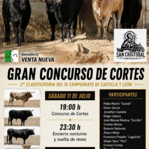 TOROS CANTALEJO 11 Y 12 DE JULIO 2026