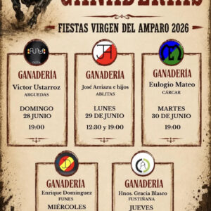 TOROS CASTEJON NAVARRA DEL 28 AL 2 DE JULIO 2026