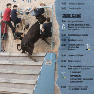 TOROS CEDRILLAS 12 Y 13 DE JUNIO 2026