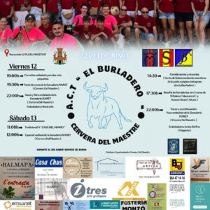 TOROS CERVERA DEL MAESTRE 12 Y 13 DE JUNIO 2026.