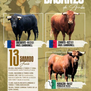 TOROS DAGANZO 13 JUNIO 2026