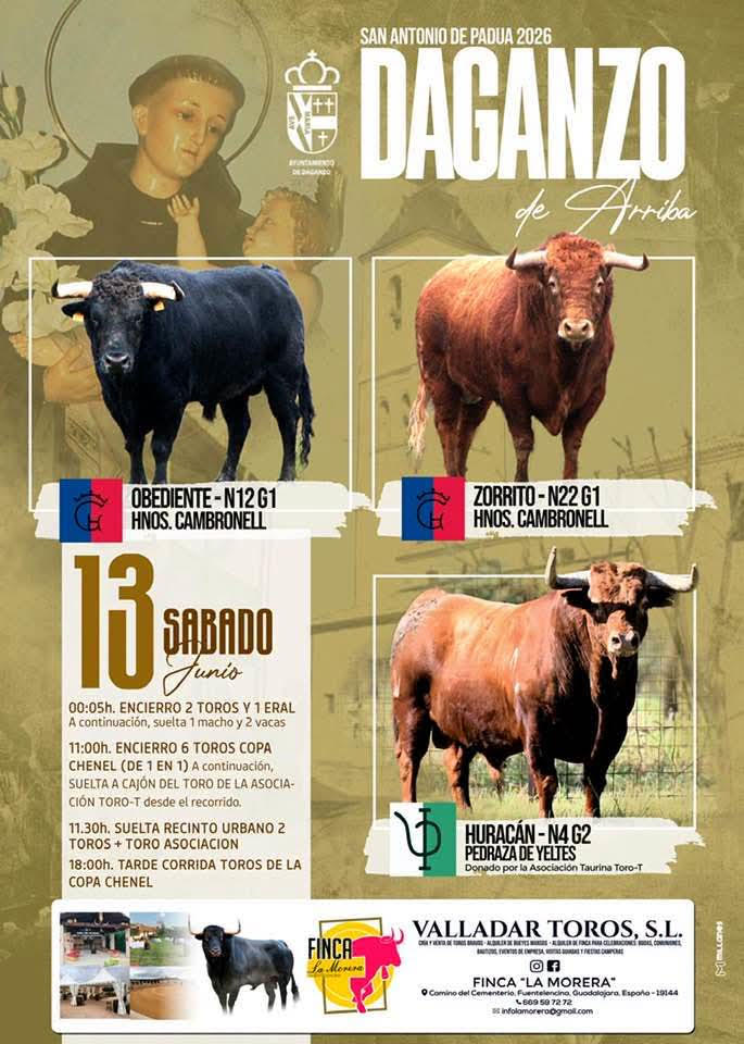 TOROS DAGANZO 13 JUNIO 2026