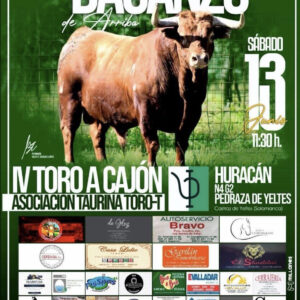 TOROS DAGANZO DE ARRIBA 13 DE JUNIO 2026