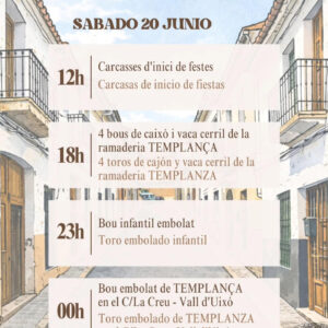 TOROS DALT DE LA MURALLA 20 DE JUNIO 2026
