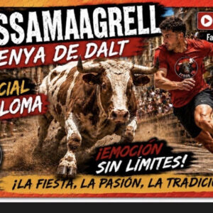.TOROS DIRECTO TOROS TV 14 JUNIO 2026