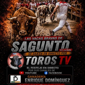 TOROS EN DIRECTO 7 JUNIO 2026