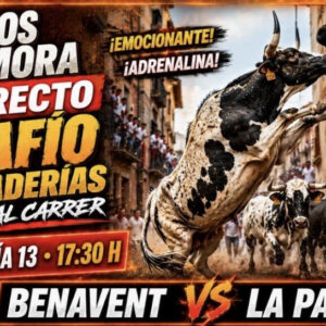 TOROS EN DIRECTO DESDE RUBIELOS DE MORA 14 DE JUNIO 2026