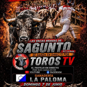 TOROS EN DIRECTO SAGUNTO 7 JUNIO 2026.