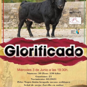 TOROS ENMAROMADO 3 JUNIO 2026