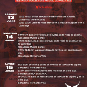 TOROS GALLUR DEL 13 AL 14 DE JUNIO 2026
