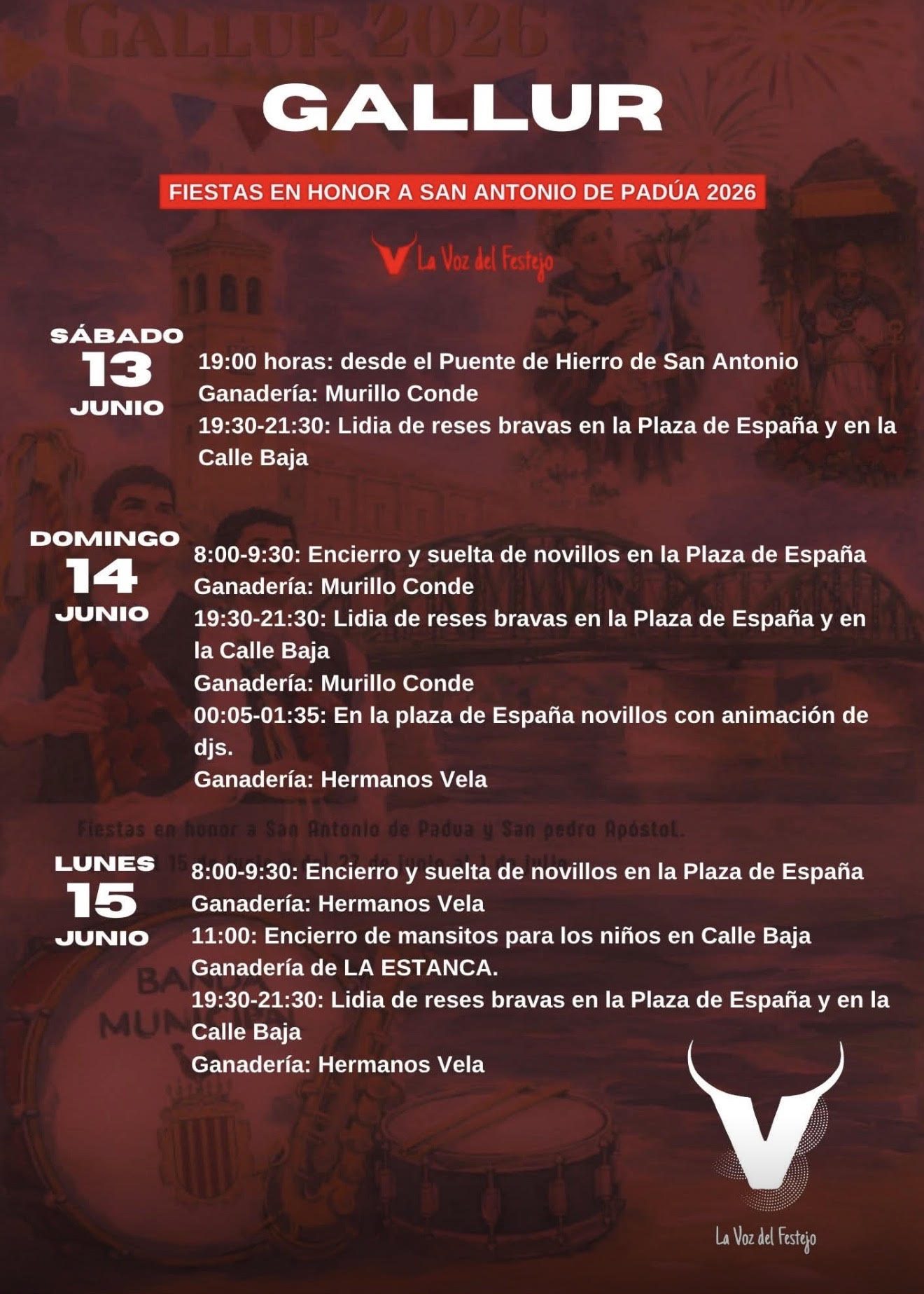TOROS GALLUR DEL 13 AL 14 DE JUNIO 2026
