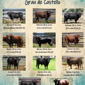TOROS GRAO DE CASTELLÓN DEL 27 DE JUNIO AL 4 DE JULIO 2026