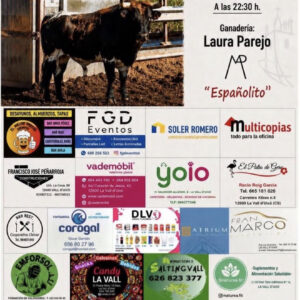 TOROS LA VALL 29 JUNIO 2026