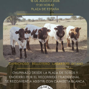 TOROS LOSAR DE LA VERA 16 AGOSTO 2026