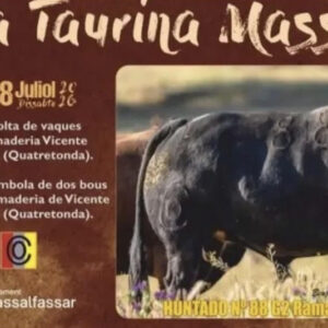 TOROS MASSALFASSAR 18 DE JULIO 2026