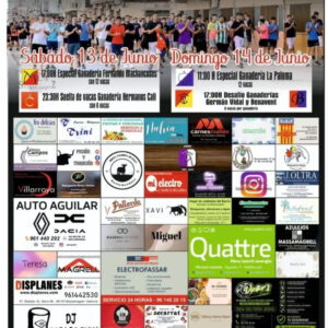 TOROS MASSAMAGRELL 13 Y 14 DE JUNIO 2026