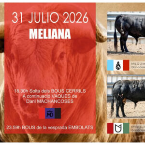 TOROS MELIANA 31 JULIO 2026