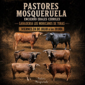 TOROS MORQUERUELAS 24 JULIO 2026