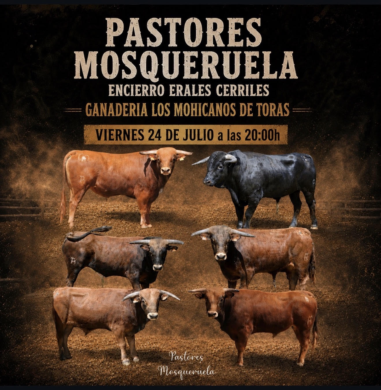 TOROS MORQUERUELAS 24 JULIO 2026