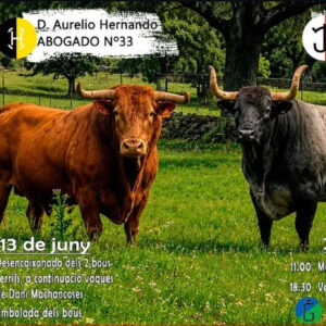 TOROS MUSEROS 20 DE JUNIO 2026