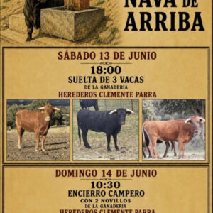 TOROS NAVAS DE ARRIBA 13 y 14 JUNIO 2026